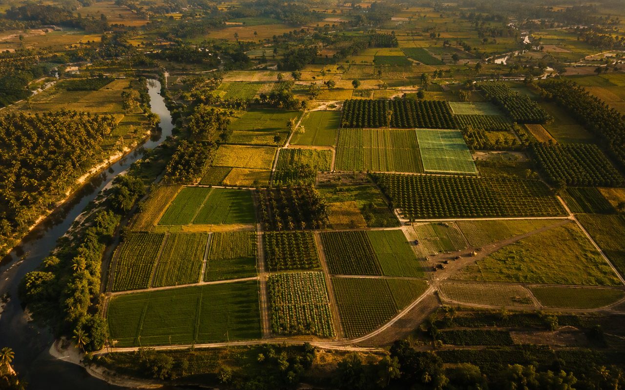 Aerial view of consolidated green farmland plots