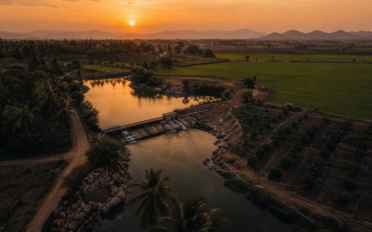 Aerial view of a farm pond between paddy fields at dusk