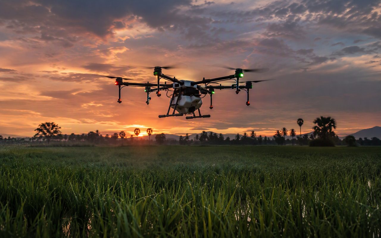 An agricultural drone flying low over dark paddy fields at dusk